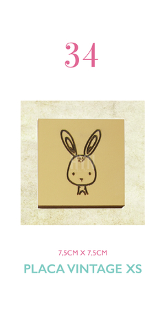HyN Placa Vintage XS - 34