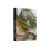 Dungeons & Dragons 5° ED. - Kit Introdutório