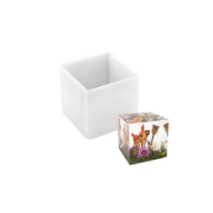 MOLDE CUBO X 5CM (DIY-L005-02-50)