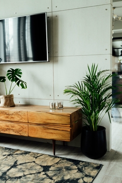 ARECA GRANDE + GOTA SMALL