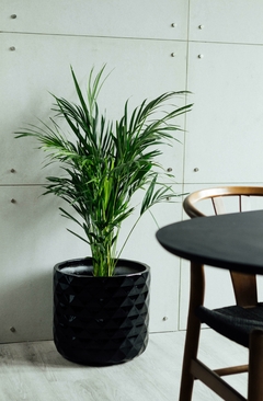 ARECA EN MACETA PAMPA DE FIBRA DE VIDRIO