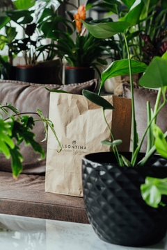 Service de jardinería