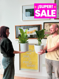 SUPERCOMBO ASPLENIUM + SPATI