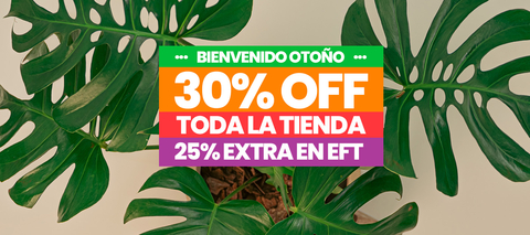 Carrusel Leontina Almacén de Plantas