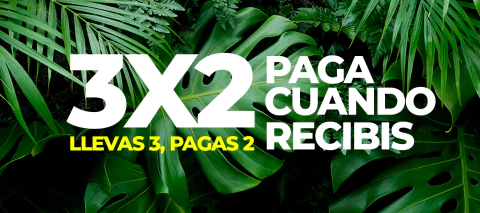 Carrusel Leontina Almacén de Plantas