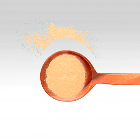 CONDIMENTO PARA ARROZ