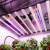 Spider Farmer UV60 & IR30 LED Grow 90cm