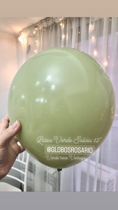 Latex verde Salvia 12" x 10 unidades