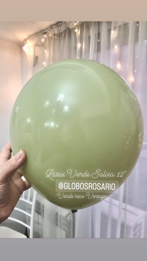 Latex verde Salvia 12" x 10 unidades
