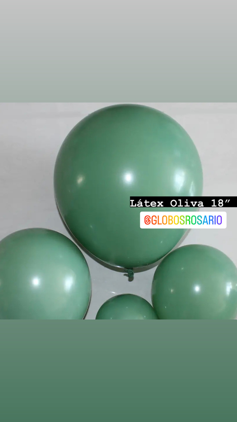 Latex 18” /20” Oliva intense x unidad
