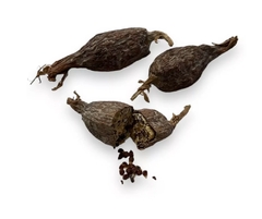 FAVA DE ATARÉ