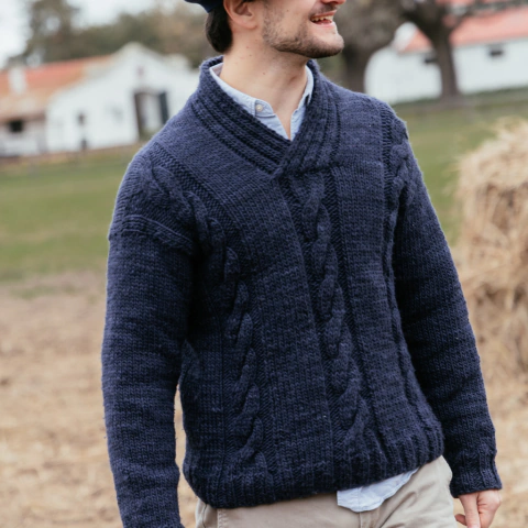 PREVENTA | Sweater Carpincho - comprar online