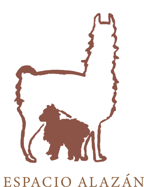 EspacioAlazan