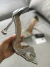 Ellie - Scarpin Transparente e strass Salto Taça Acrílico - comprar online