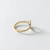 ANEL PAUSA - Banho Ouro 18k - Begonia