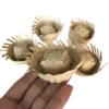 CHAPEUZINHO DE PALHA DESFIADO P - 1 UNIDADE