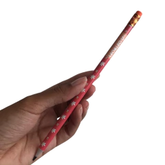 LÁPIS PANDA COM BORRACHA HB (LEO&LEO) - 1 UNIDADE na internet