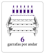 Categoria 5