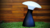 LAMPARA LED - Deco Garden 