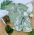 Conjunto Masculino Explorer