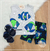 Conjunto Regata Peixes