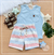 Conjunto Blusa Short Verão