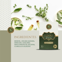 Ervas Finas SUPREMO - Emagrecedor e acelerador de metabolismo 500mg - 30 cápsulas - loja online