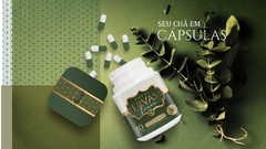 Ervas Finas SUPREMO - Emagrecedor e acelerador de metabolismo 500mg - 30 cápsulas - comprar online