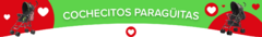 Banner de la categoría Coche Paragüitas