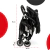 Cochecito compacto FOLDY Bebesit negro - tienda online