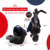 Cochecito travel system EOS azul - Bebesit | Tienda oficial