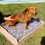 Cama para mascotas Goofy EMC - comprar online