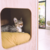 Baloo - Ideal para michis o perros razas pequeñas - comprar online