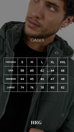 GANIX en internet