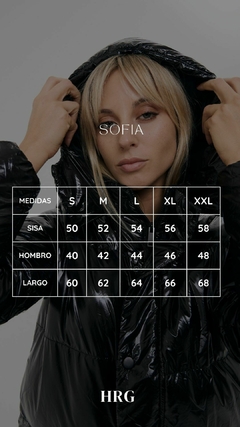 SOFIA en internet