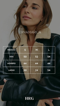 DINAMARCA en internet