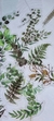 Adesivos Folhas Verdes - 20 un - comprar online