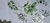 Adesivos Folhas Verdes - 20 un - loja online