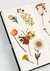 Adesivos Flores - 20 un - comprar online