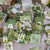 Sticker Box Green Feelings - 46 adesivos
