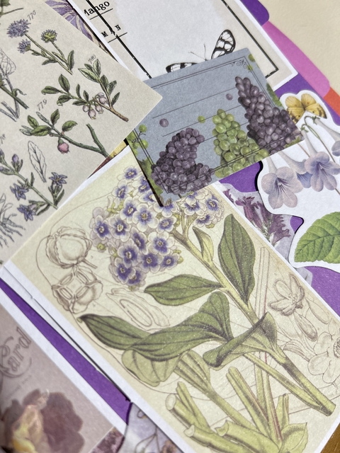 Coleção Lilac Journal - 10 itens - comprar online