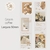 PET Tape Daily - 50mm - comprar online