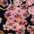 Sticker Pack - Flores - 10 un - loja online