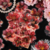 Sticker Pack - Flores - 10 un