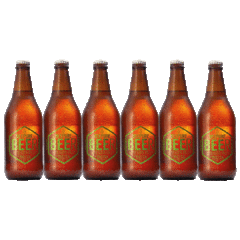 Cerveza artesanal SESSION IPA BEER x500ml - x6 u. - comprar online