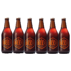 Cerveza artesanal SCOTTISH ALE BEER x500ml - x6 u. - comprar online