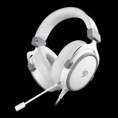 Auricular VSG Singularity Z