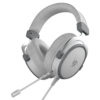 Auricular VSG Singularity Z