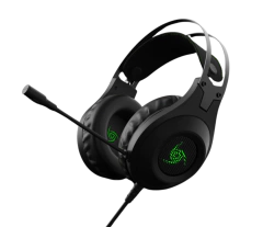 Auricular VSG Kuiper