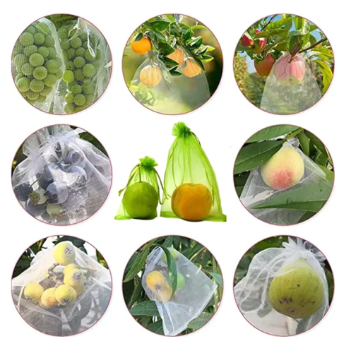 50 Sacos De Proteção Fruta figo, caqui contra pássaro (10x15)